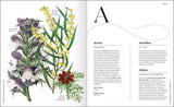 Flowers and Their Meanings