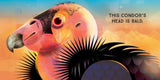 Odd Birds