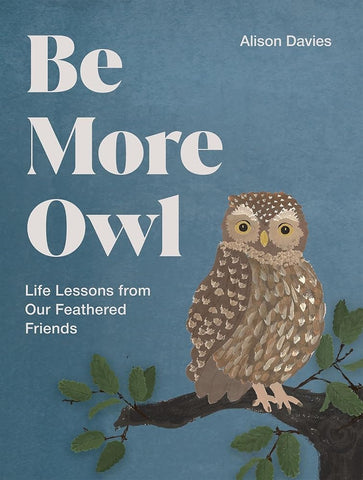Be More Owl: Life Lessons from Our Feathered Friends cover image